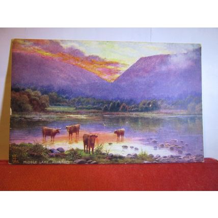 AMARANTH PRINT BUTTER, THE CLIFTON LUNCH, BROOKLYN unused postcard advertising #