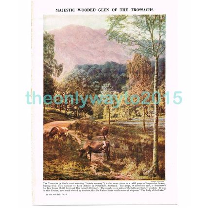 Wooded Glen In The Trossachs, Book Illustration, c1953