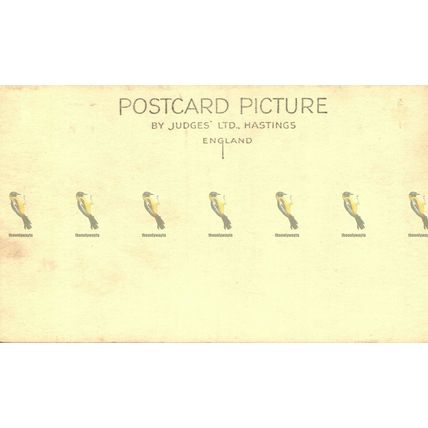 Fountain, Promenade, Cheltenham, Gloucs, Rare Judges RP Postcard