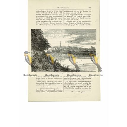 Shrewsbury from Coton Hill, Book Illustration (Print), 1891