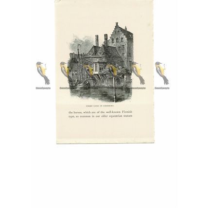 Street Canal, Dort (Dordrecht), Holland, Book Illustration (Print), 1889