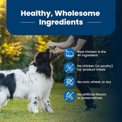 Blue Buffalo Life Protection Formula Adult Dry Dog Food, Helps Build and Maintai