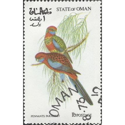 OMAN STATE, BIRD, Pennants Parakeet, white 1972, 1baiza