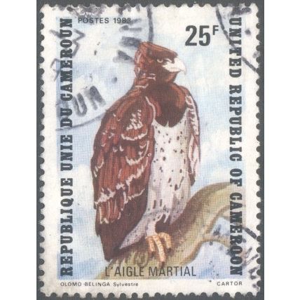 Cameroun 1983 - 25f multi - Martial Eagle - used