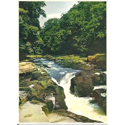 Yorkshire BOLTON ABBEY The Strid Postcard (Walter Scott C.Y.362)
