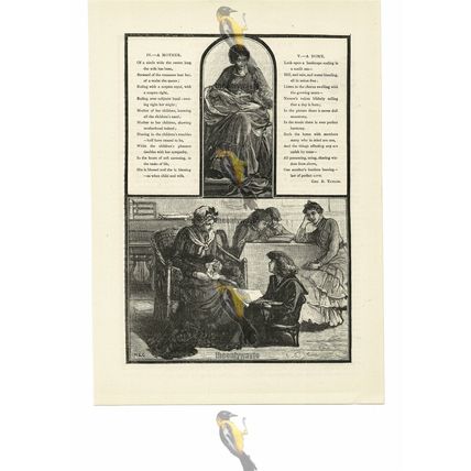 Child, Woman, Wife....... 2 Pages Of Illustrated Poetry, Book Illustration, 1887
