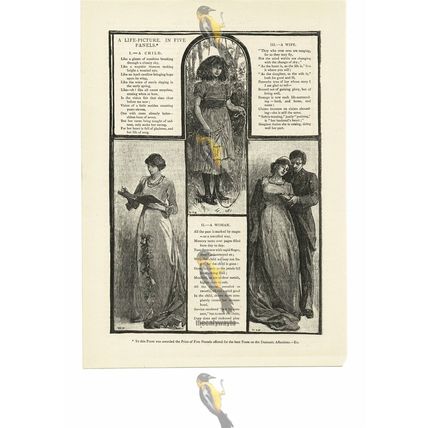Child, Woman, Wife....... 2 Pages Of Illustrated Poetry, Book Illustration, 1887