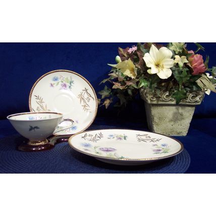 WW Bavaria 45 Teacup Saucer Plate Trio w/ Blue Purple Flowers Gold Hobnail Trim