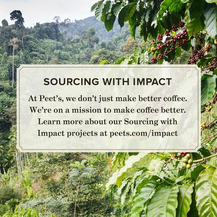 Peet'S Coffee, Medium Roast Espresso Capsules, Compatible with Nespresso Origina