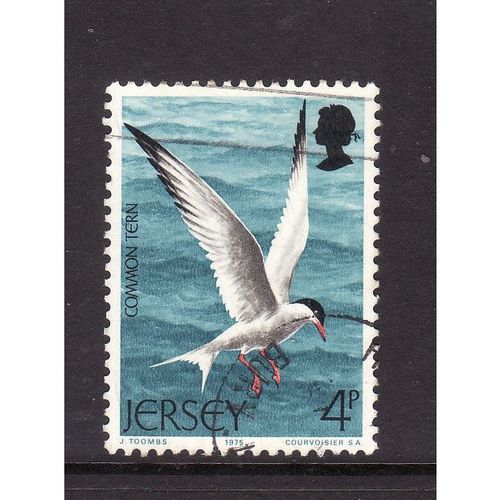 JERSEY 1975 SG 129 4p COMMON TERN FINE USED#2