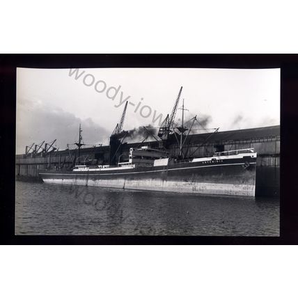 bf1793 - U.K. Cargo Ship - Artemisia - built 1920 - B Feilden photograph