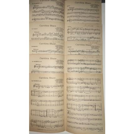 Carolina Blues - 1924 - orchestra - Charlie Harrison, Doris Grant & Jack Chapman