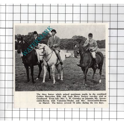 Mr Arrowsmith-Brown Mrs L W Gormley Arab Horse Society - 1968 Small News Cutting