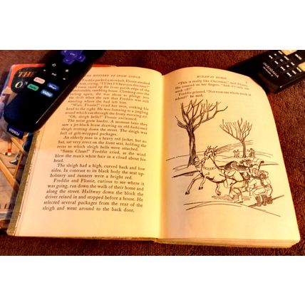 The Bobbsey Twins At Snow Lodge 1960 By Laura Lee Hope Great Shape