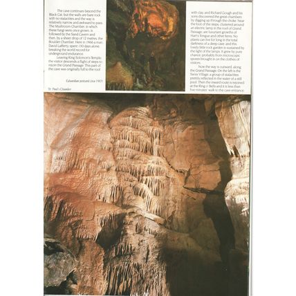 Timeless Cheddar Caves (Guide Book)