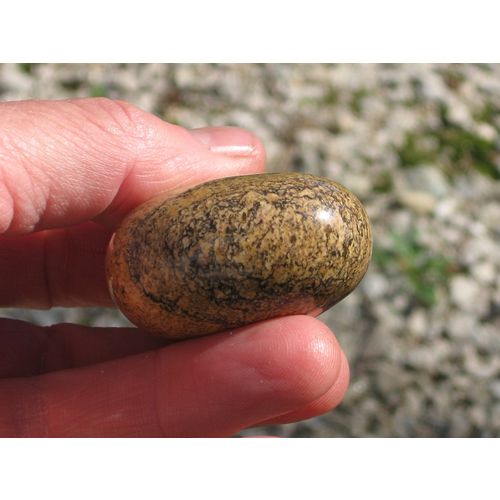 B Picture Jasper Puffed Heart Palm Stone Touch Gemstone Metaphysical Energy Work