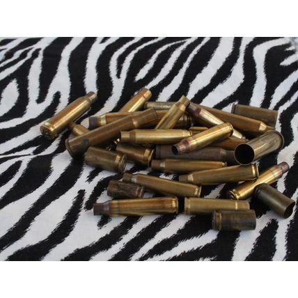 Brass Bullet Casings, 22-250, Remington Bullet Shells, Fired Rifle Brass Bullets