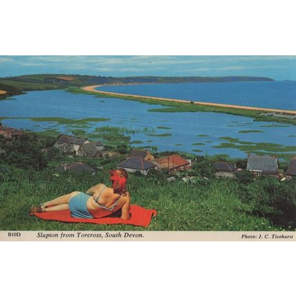 Big Red Butterfly Hairpiece Lady Slapton From Torcross Devon Postcard