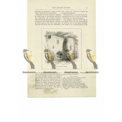 Bloody Tower, London, Book Illustration (Print), 1891
