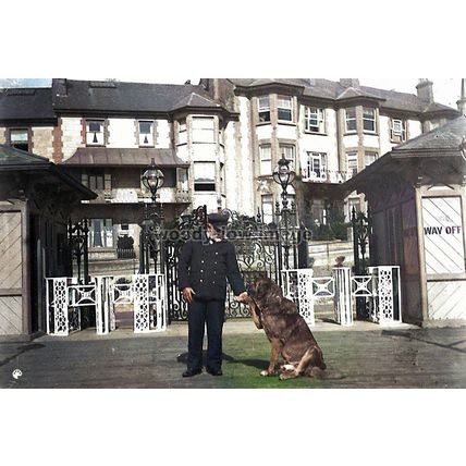 iwc108 - The Sandown Pier Master with his dog , Isle of Wight - print 6x4