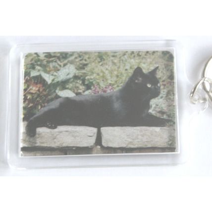 CAT BREED KEY RINGS QUALITY ACRYLIC DOUBLE SIDED PHOTO KEY RINGS 8 BREEDS