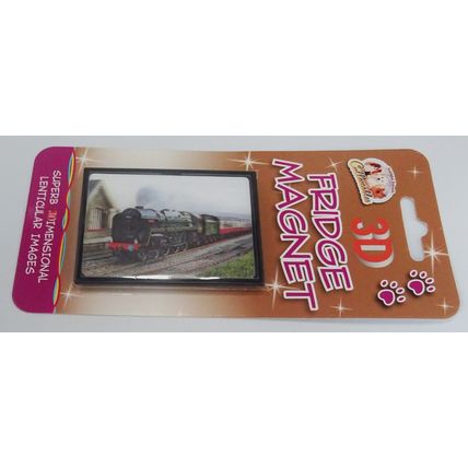 STEAM TRAIN fridge magnets 3D or Antique brass effect 8 choices