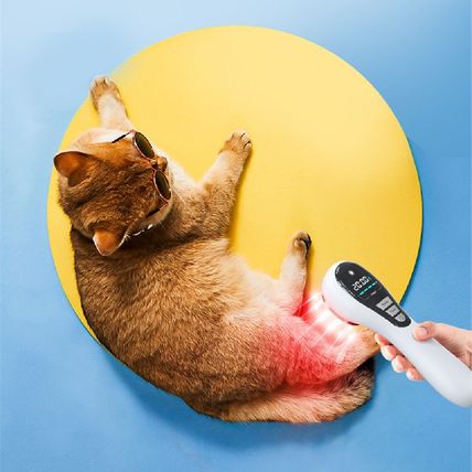 Laser Therapy Instrument – Portable Pain Relief & Physiotherapy Device