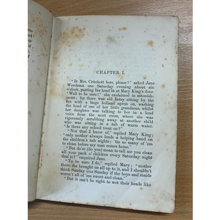 1885 WAYS AND MEANS IN A DEVONSHIRE VILLAGE CRUWYS SHARLAND FICTION HB BOOK (P2)