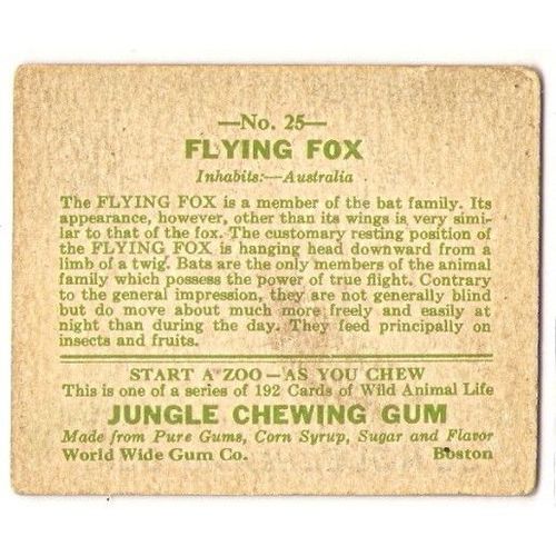 JUNGLE CHEWING GUM card # 25 FLYING FOX ( 1933 )