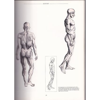 ANATOMY PERSPECTIVE & COMPOSITION FOR THE ARTIST by Stan Smith. Ref: B3155