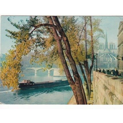 Paris Notre Dame France Postcard used VGC