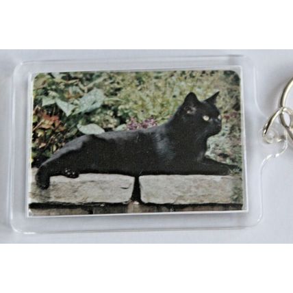 CAT BREED KEY RINGS QUALITY ACRYLIC DOUBLE SIDED PHOTO KEY RINGS 8 BREEDS