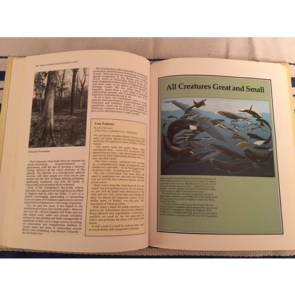 The Conservation Review, 1985, hardback. Introduction by David Bellamy