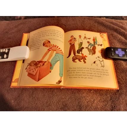 Wonder Book Hoppy The Puppy By Barbara S. Bates 1950 Great Shape