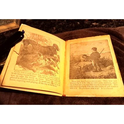 Children's Book Play Day Story Book Babyhood Series Circa 1910