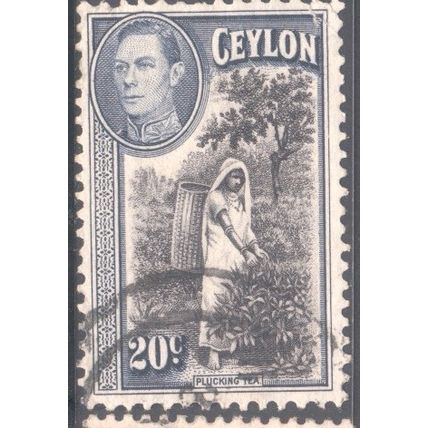 Ceylon stamps 1938 - SG391 - 20c Plucking Tea KGV1 - used 5