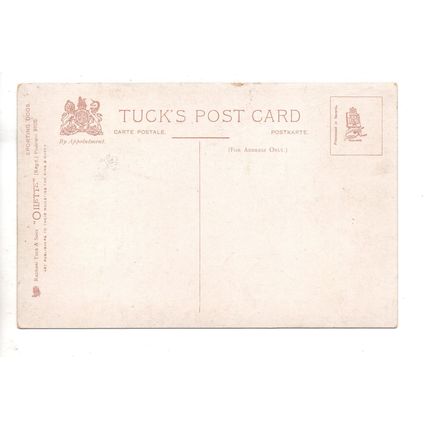 ARTIST DRAWN POSTCARD BY NORAH DRUMMOND SPORTING DOGS FOX TERRIER (3472)