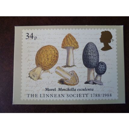 1988 GB Bicentenary of Linnean Society PHQ 114 mint card set Fish Swan Mushrooms