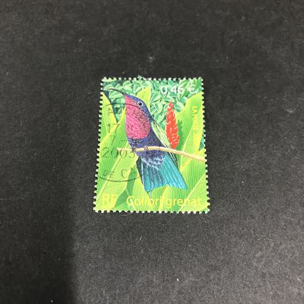 FRANCE ..-2003..-Birds.. Purple Throated Carib