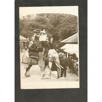 Postcard London Regents Park Elephant Riding