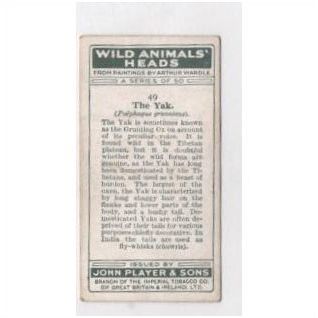 1931 John Player Cigarette card Wild Animals Heads No.49 THE YAK