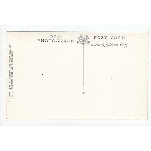 Penshurst Place Kent H Camburn RP Postcard 38