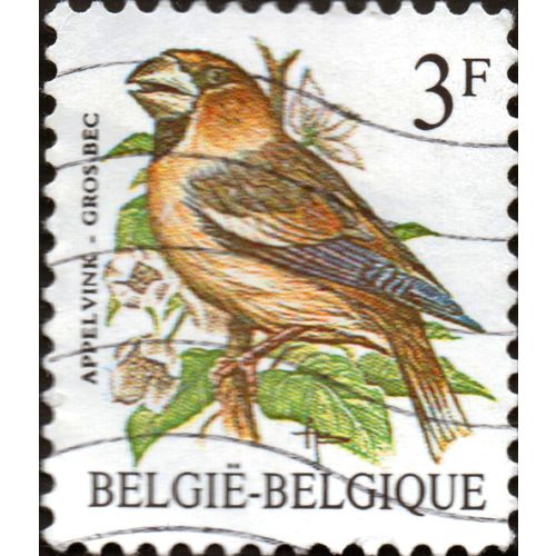 BELGIUM, BIRDS, Hawfinch, 1985, 3 Franc