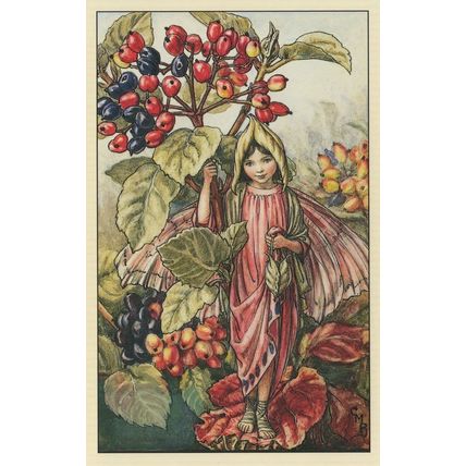 The WayfaringTree Fairy Old Book Stunning Postcard