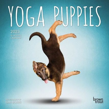 2023 Yoga Puppies 7x7 16-Month Mini Wall Calendar