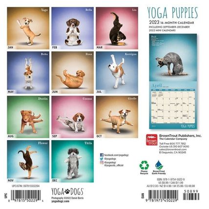 2023 Yoga Puppies 7x7 16-Month Mini Wall Calendar