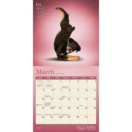 2023 Yoga Puppies 7x7 16-Month Mini Wall Calendar