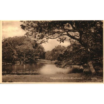 Waggoner's Wells, Hindhead, Surrey, 43425 Frith's Series Postcard