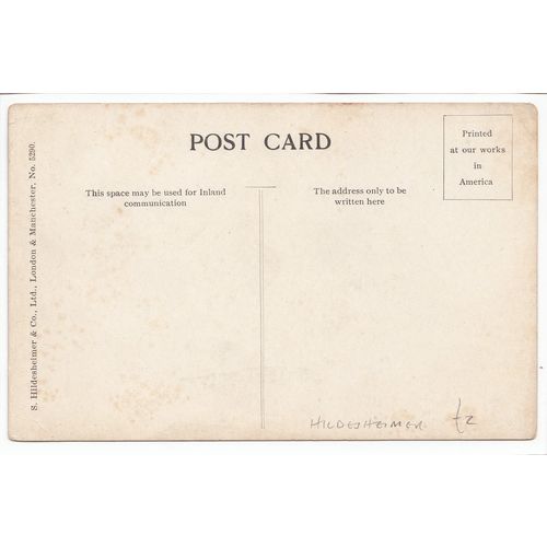 Sheep Lotherstone S Hildesheimer & Co Ltd Art Postcard 5290