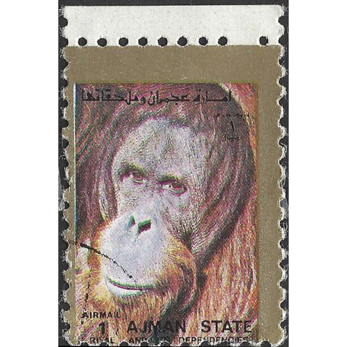 AJMAN, MAMMAL, Orangutan, brown 1973, 1R